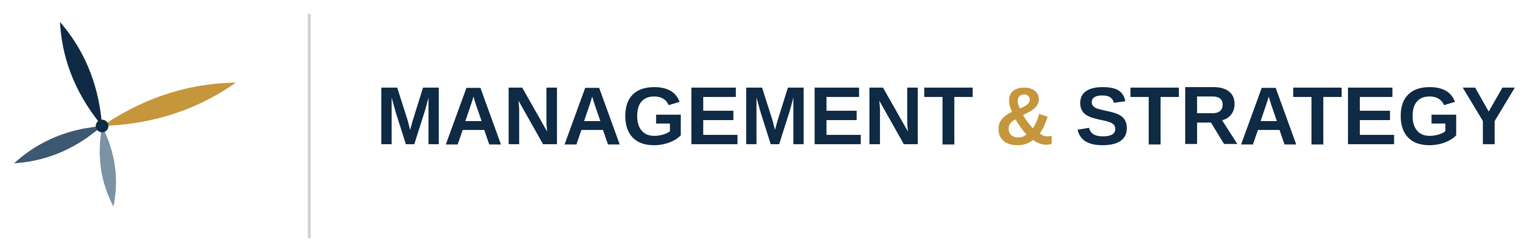 Management & Strategy
