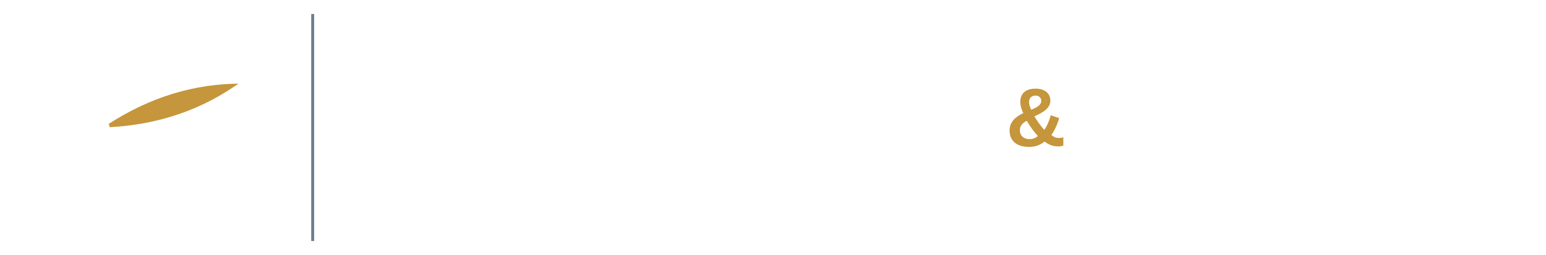 Management & Strategy